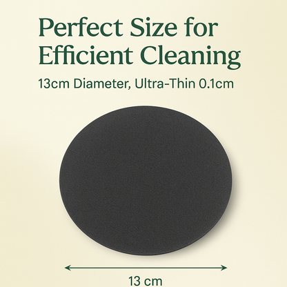 Steeli Sponge for Stainless Steel