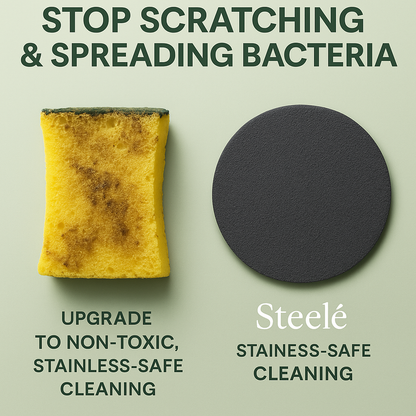 Steeli Sponge for Stainless Steel